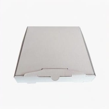 Baskısız Pizza Kutusu 100 Adet 24cm X 24cm X 4,2cm